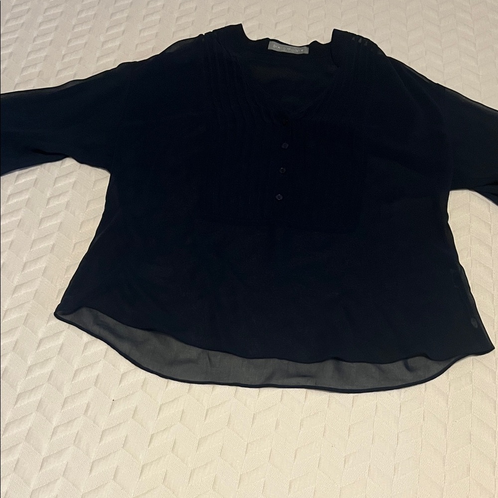 Olivia Moon Black Sheer Pintuck V-Neck Blouse
